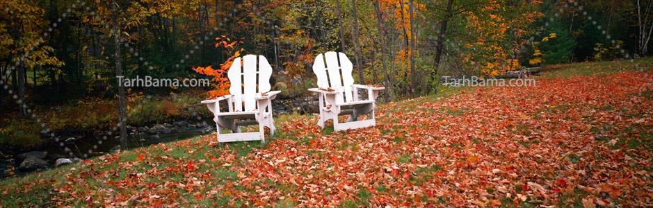 تصویر با کیفیت دو صندلی چوبی سفید در باغ پاییزی